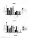 Fig. 34 - Retinoid compositions and methods of increasing immune cell-mediated killing of IDH mutant cancer cells