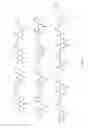 Fig. 04 - Heterocyclic Flavone Derivatives, Compositions, and Methods Related Thereto