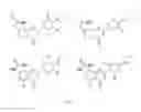 Fig. 20 - Heterocyclic Flavone Derivatives, Compositions, and Methods Related Thereto