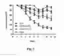 Fig. 03 - Conjugate of memantine and arctigenin, and composition and use thereof