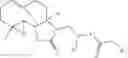 Fig. 08 - Compositions and methods for treating cancer
