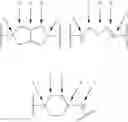 Fig. 45 - USE OF ANTHELMINTIC AGENTS AGAINST DIROFILARIA IMMITIS