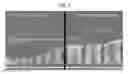 Fig. 02 - COMPOSITIONS AND METHODS FOR INHIBITING AUTOPHAGY AND CONTRACEPTION