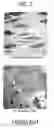 Fig. 03 - COMPOSITIONS AND METHODS FOR INHIBITING AUTOPHAGY AND CONTRACEPTION