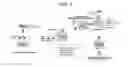 Fig. 04 - COMPOSITIONS AND METHODS FOR INHIBITING AUTOPHAGY AND CONTRACEPTION