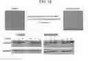 Fig. 18 - COMPOSITIONS AND METHODS FOR INHIBITING AUTOPHAGY AND CONTRACEPTION