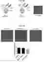 Fig. 26 - COMPOSITIONS AND METHODS FOR INHIBITING AUTOPHAGY AND CONTRACEPTION