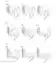 Fig. 02 - NINTEDANIB FOR USE IN METHODS FOR THE TREATMENT OF MUSCULAR DYSTROPHY