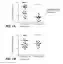Fig. 02 - MUTANT SELECTIVITY AND COMBINATIONS OF A PHOSPHOINOSITIDE 3-KINASE INHIBITOR COMPOUND AND CHEMOTHERAPEUTIC AGENTS FOR THE TREATMENT OF CANCER