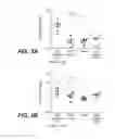 Fig. 03 - MUTANT SELECTIVITY AND COMBINATIONS OF A PHOSPHOINOSITIDE 3-KINASE INHIBITOR COMPOUND AND CHEMOTHERAPEUTIC AGENTS FOR THE TREATMENT OF CANCER