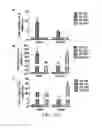 Fig. 06 - Methods for pharmacologic treatment of stroke