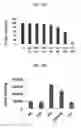 Fig. 17 - Treatments and diagnostics for cancers