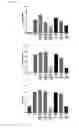 Fig. 03 - Compositions and methods for treatment of inflammatory disorders