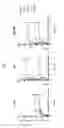 Fig. 06 - Lipotechoic acid for immune modulation