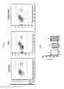 Fig. 32 - Lipotechoic acid for immune modulation