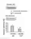 Fig. 01 - Compositions and methods for combating drug-resistant cancers