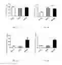 Fig. 03 - APPLICATION OF NITRATE IN PREPARATION OF DRUG PREVENTING OR TREATING BONE METABOLIC DISEASES
