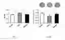 Fig. 05 - APPLICATION OF NITRATE IN PREPARATION OF DRUG PREVENTING OR TREATING BONE METABOLIC DISEASES