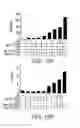 Fig. 16 - Method of Controlling Administration of Cancer Antigen