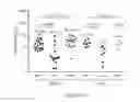 Fig. 124 - Processes for production of tumor infiltrating lymphocytes and uses of same in immunotherapy