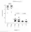Fig. 20 - Processes for production of tumor infiltrating lymphocytes and uses of same in immunotherapy