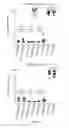 Fig. 22 - Processes for production of tumor infiltrating lymphocytes and uses of same in immunotherapy