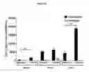 Fig. 75 - Processes for production of tumor infiltrating lymphocytes and uses of same in immunotherapy