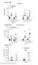 Fig. 80 - Processes for production of tumor infiltrating lymphocytes and uses of same in immunotherapy