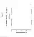 Fig. 85 - Processes for production of tumor infiltrating lymphocytes and uses of same in immunotherapy