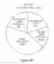 Fig. 96 - Processes for production of tumor infiltrating lymphocytes and uses of same in immunotherapy