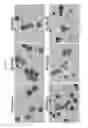 Fig. 03 - In vitro production of red blood cells with sortaggable proteins