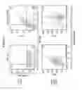 Fig. 16 - In vitro production of red blood cells with sortaggable proteins