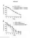 Fig. 33 - In vitro production of red blood cells with sortaggable proteins