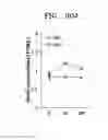 Fig. 59 - PLACENTA-DERIVED CELLS EXCRETING C3 OR C1R COMPLEMENT AND COMPOSITION CONTAINING SAME