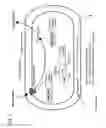 Fig. 03 - Bacteria engineered to treat a disease or disorder