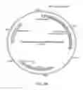 Fig. 07 - Bacteria engineered to treat a disease or disorder