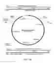 Fig. 10 - Bacteria engineered to treat a disease or disorder