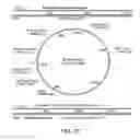 Fig. 11 - Bacteria engineered to treat a disease or disorder