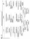 Fig. 16 - Bacteria engineered to treat a disease or disorder