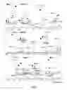 Fig. 09 - USE OF BIFIDOBACTERIUM LONGUM AND AN EXOPOLYSACCHARIDE PRODUCED THEREBY