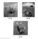 Fig. 02 - METHODS AND COMPOSITIONS FOR PRODUCTION OF RECOMBINANT PHARMACEUTICAL PROTEINS IN MEDICINAL PLANTS