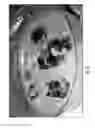 Fig. 05 - METHODS AND COMPOSITIONS FOR PRODUCTION OF RECOMBINANT PHARMACEUTICAL PROTEINS IN MEDICINAL PLANTS