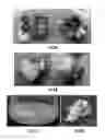 Fig. 07 - METHODS AND COMPOSITIONS FOR PRODUCTION OF RECOMBINANT PHARMACEUTICAL PROTEINS IN MEDICINAL PLANTS