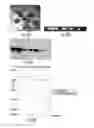 Fig. 12 - METHODS AND COMPOSITIONS FOR PRODUCTION OF RECOMBINANT PHARMACEUTICAL PROTEINS IN MEDICINAL PLANTS