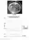 Fig. 13 - METHODS AND COMPOSITIONS FOR PRODUCTION OF RECOMBINANT PHARMACEUTICAL PROTEINS IN MEDICINAL PLANTS