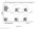 Fig. 41 - Phosphorylcholine conjugates and uses thereof