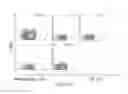 Fig. 43 - Phosphorylcholine conjugates and uses thereof