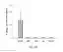Fig. 44 - Phosphorylcholine conjugates and uses thereof