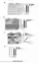Fig. 04 - Compositions and methods for modulating toll-like receptor 2 activation