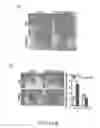 Fig. 09 - Compositions and methods for modulating toll-like receptor 2 activation